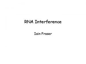 RNA Interference Iain Fraser Model for RNAi mechanism