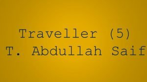 Traveller 5
