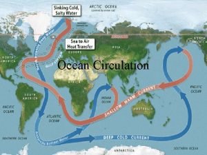 Ocean Circulation Objectives Demonstrate an understanding of 1