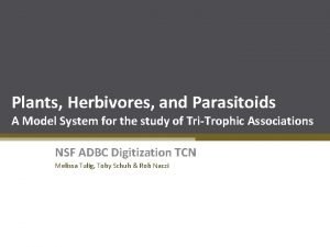 Plants Herbivores and Parasitoids A Model System for