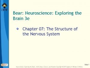 Bear Neuroscience Exploring the Brain 3 e Chapter