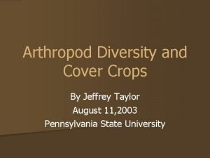 Arthropod Diversity and Cover Crops By Jeffrey Taylor