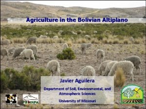 Agriculture in the Bolivian Altiplano Javier Aguilera Department