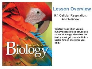 Lesson Overview Cellular Respiration An Overview Lesson Overview