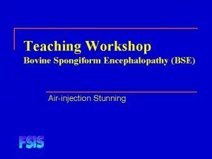 Teaching Workshop Bovine Spongiform Encephalopathy BSE Airinjection Stunning