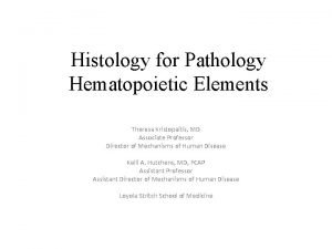 Histology for Pathology Hematopoietic Elements Theresa Kristopaitis MD