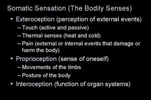 Somatic Sensation The Bodily Senses Exteroception perception of