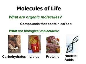 Molecules of Life What are organic molecules Compounds