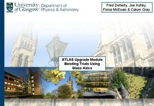 Fred doherty Fred doherty