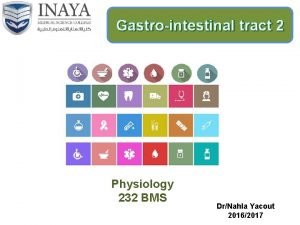 Gastrointestinal tract 2 Physiology 232 BMS DrNahla Yacout