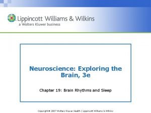 Neuroscience Exploring the Brain 3 e Chapter 19