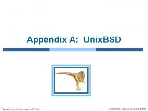 Appendix A Unix BSD Operating System Concepts 8