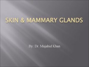 Mammary crest