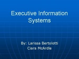 Executive Information Systems By Larissa Bertolotti Ciara Mc