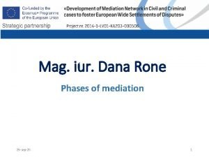 Mag iur Dana Rone Phases of mediation 25