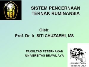 SISTEM PENCERNAAN TERNAK RUMINANSIA Oleh Prof Dr Ir