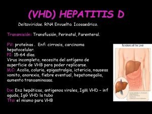 VHD HEPATITIS D Deltaviridae RNA Envuelto Icosaedrico Transmisin