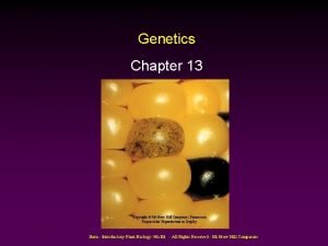 Genetics Chapter 13 Copyright Mc GrawHill Companies Permission