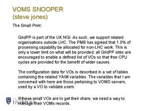 VOMS SNOOPER steve jones The Small Print Grid