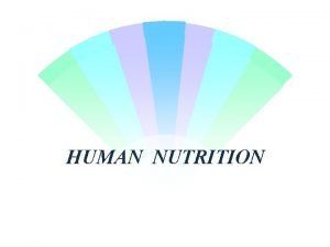 HUMAN NUTRITION The basic nutritional needs Supply energy