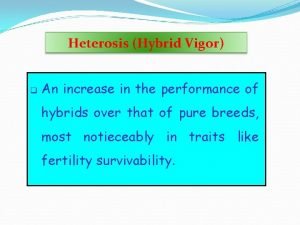 Heterosis Hybrid Vigor q An increase in the