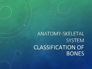 ANATOMYSKELETAL SYSTEM CLASSIFICATION OF BONES ANATOMYSKELETAL SYSTEM INTRODUCTION