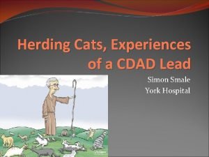 Herding Cats Experiences of a CDAD Lead Simon