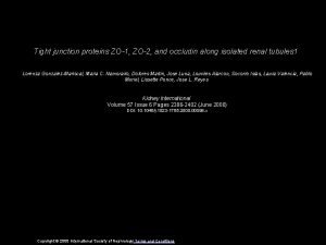 Tight junction proteins ZO1 ZO2 and occludin along