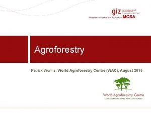 Modules on Sustainable Agriculture MOSA Agroforestry Patrick Worms