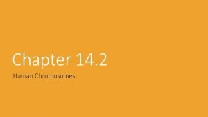 Section 14-2 human chromosomes Section 14-2 human chromosomes