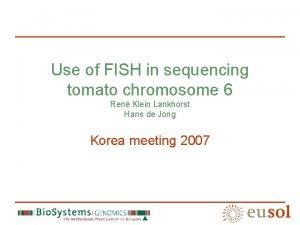 Use of FISH in sequencing tomato chromosome 6