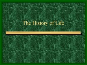 The History of Life Fossils and Ancient Life