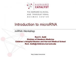 Ravi micro Ravi micro