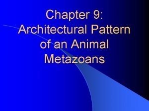 Chapter 9 Architectural Pattern of an Animal Metazoans