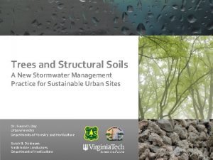 Trees and Structural Soils A New Stormwater Management