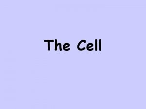 The Cell Cell Parts Cell Membrane Cell Wall