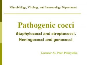 Microbiology Virology and Immunology Department Pathogenic cocci Staphylococci