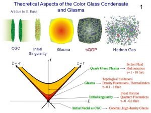 Colour glass condensate