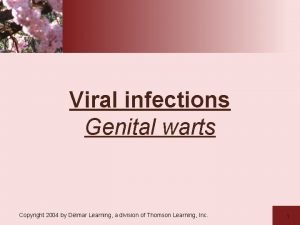 Viral infections Genital warts Copyright 2004 by Delmar