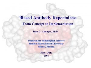 Biased Antibody Repertoires From Concept to Implementation Juan