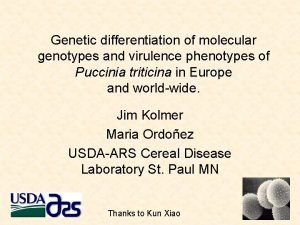 Genetic differentiation of molecular genotypes and virulence phenotypes