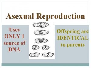 Asexual Reproduction Uses ONLY 1 source of DNA