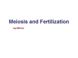 Meiosis and Fertilization myOHsis What is Meiosis Meiosis