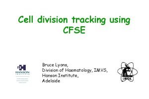 Cell division tracking using CFSE Bruce Lyons Division