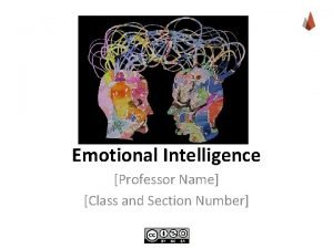 Evolution of emotional intelligence