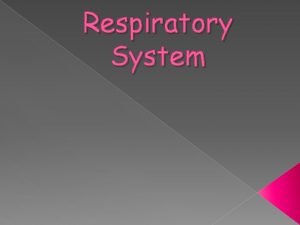 Respiratory System Otorhinolaryngology branch of medicine that deals