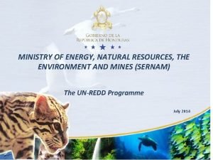 MINISTRY OF ENERGY NATURAL RESOURCES THE ENVIRONMENT AND