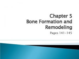 Chapter 5 Bone Formation and Remodeling Pages 141