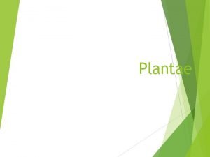 General characteristics of plantae