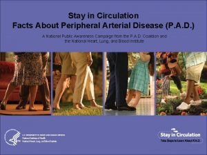 Stay in Circulation Facts About Peripheral Arterial Disease